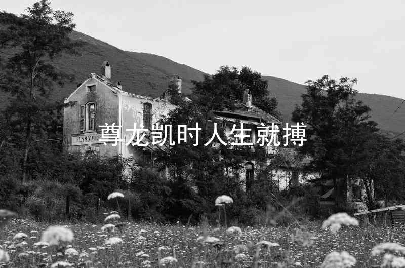尊龙凯时人生就搏