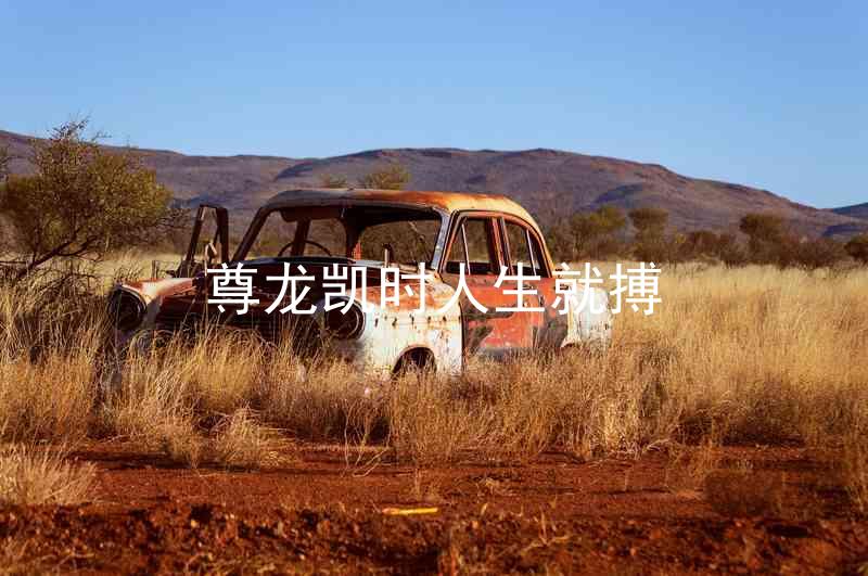 尊龙凯时人生就搏